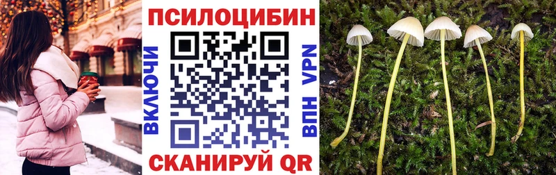 Псилоцибиновые грибы Magic Shrooms  купить  сайты  Железногорск 
