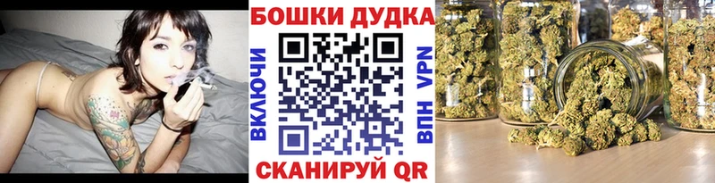 Бошки Шишки SATIVA & INDICA  магазин продажи   Железногорск 